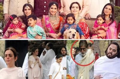Sad News for Ambani Family as Mukesh Ambani & Nita Ambani lost her Lovable Youngest Member in family