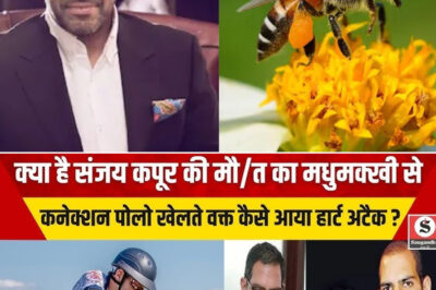 Sunjay Kapur: क्या है संजय कपूर की मौत का मधुमक्खी से कनेक्शन? पोलो खेलते वक्त कैसे आया हार्ट अटैक? जानिए/hi