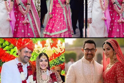 Aamir Khan’s Grand Wedding ceremony at his 3rd Wedding with Gauri Spratt with Salman Khan & Family!/hi