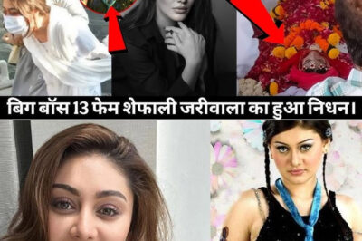 ‘Kaanta Laga Girl’ Shefali Jariwala is no more! Reasons behind Shefali Jariwala’s sudden passing…./hi