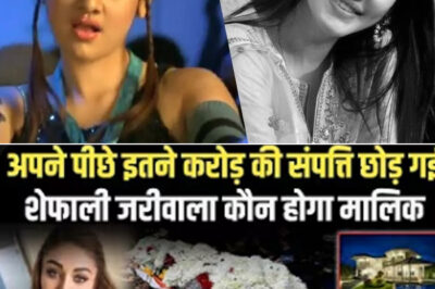 Shefali left behind property worth so many crores, who will be the owner? Shefali jariwala net worth/hi