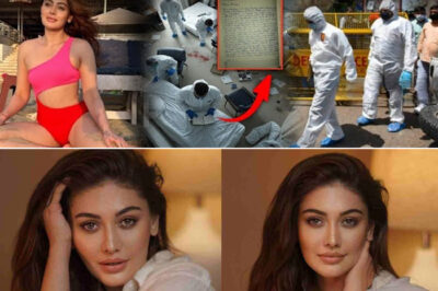 What Was Found in Shefali Jariwala’s Private Diary SHOCKED Everyone — Hidden Truths Finally Exposed!/hi