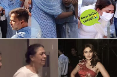 Shefali Jariwala’s mother cries at funeral: “Please bring my daughter back!” – Heartbreaking scenes that rocked Bollywood/hi