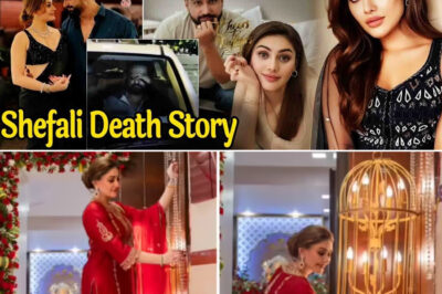 INSIDE SHEFALI JARIWALA’S LUXURIOUS LIFE: FROM “KAANTA LAGA” FAME TO A LIFE OF DIAMONDS, DESIGNER BRANDS, AND DECADENCE! 💎/hi
