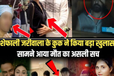 शेफाली के Cook ने किया खुलासा, सामने आया मौत का असली सच ! Shefali jariwala cook/hi