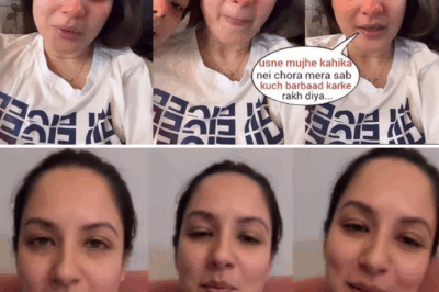 Tv Actress Puja Banerjee brokedown as She was Fraud by her Husband with her Son !