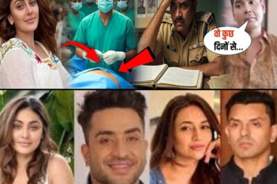 Shefali Jariwala’s Friend Drops a BOMBSHELL – “What Shefali Hid from Everyone… I Can’t Keep It Secret Anymore”/hi