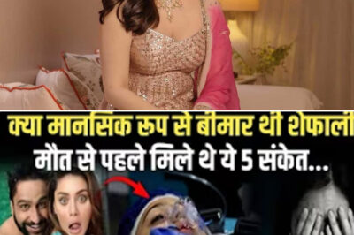 💔 Was It Mental Illness? Rumors Swirl Around Shefali Jariwala’s Death – “She Was Smiling on the Outside, But Fighting Inside”/hi