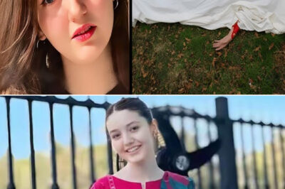 SHOCKING TRAGEDY: Popular social media star dies after rejecting marriage proposal — Fans DEMAND Justice! 💔/hi