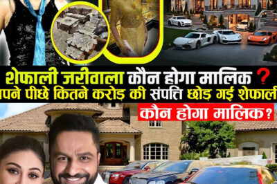 From “Kaanta Laga” Fame to a ₹20-Crore Fortune: The Untold Financial Legacy of Shefali Jariwala!/hi