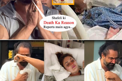 😲 Shocking Reason Behind Shefali Jariwala’s DEATH EXPOSED by Husband Parag Tyagi — What REALLY Happened Will Leave You Speechless!/hi