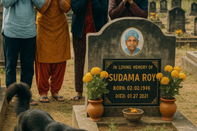49 Days After My Grandmother Passed, the Black Dog Suddenly Began Digging Madly at Her Grave — When It Dug Deep Enough, the Whole Family Froze in Terror and Ran…
