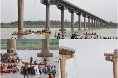 Cars plunge into river k/i/l/l/i/n/g 9 people as section of 40-year-old bridge collapses in India