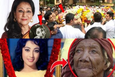 माला सिन्हा: हिंदी सिनेमा की दिग्गज अभिनेत्री की कहानी/hi