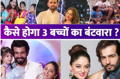 जय भानुशाली और माही विज का तलाक चौंकाने वाला: उनके 3 बच्चों की कस्टडी किसे मिलती है?/hi