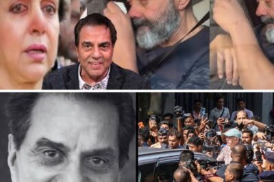 बॉलीवुड के दिग्गज धर्मेंद्र का निधन: आखिरी इमोशनल वीडियो सामने आया/hi